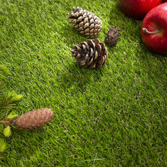 TRAWA FRINGE - trawa imitująca wykończenie green'u